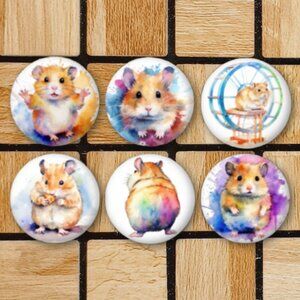 Watercolor Hamster Fridge Magnets Set Of 6 Metal Magnets For Home Office Kitchen